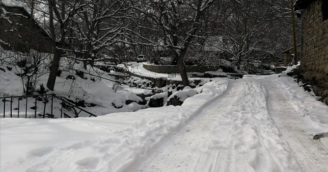 ABŞ da soyuq hava on minlərlə evi işıqsız qoyub Milyonlarla insan marketləri boşaldıb