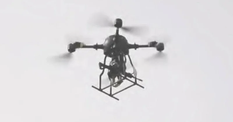 Китай вооружил беспилотник винтовкой