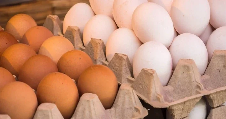 Коричневые или белые: есть ли разница в пользе яиц?
