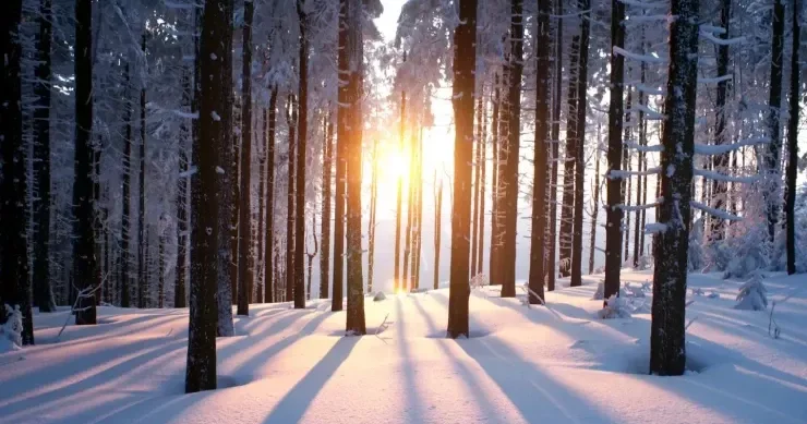 Qar əslində ağ deyil: Ekspertlərdən təəccüblü izahat