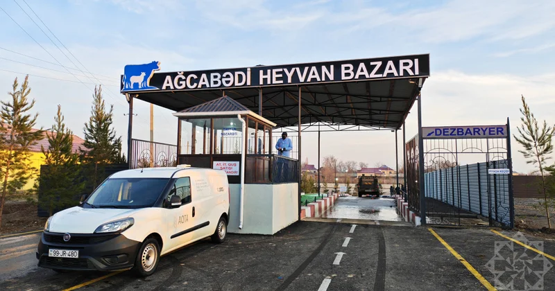 Ağcabədidə heyvan satışı bazarı fəaliyyətə başlayıb FOTOLAR