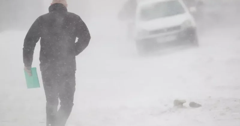 Снежная буря в США: 7 погибших, более миллиона человек без электричества