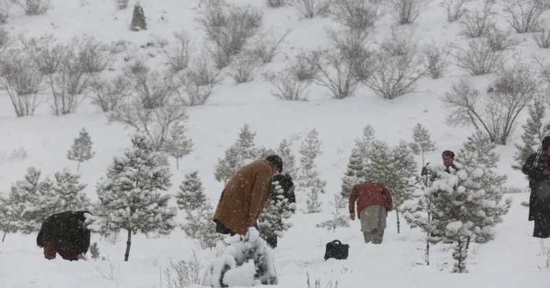 В США почти 740 тыс. домов остались без электроэнергии из за бури ОБНОВЛЕНО