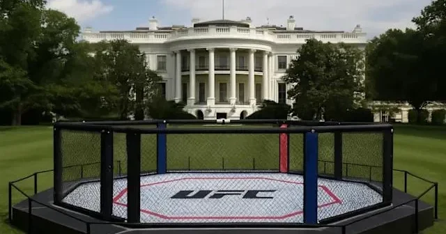 Исторический турнир UFC в Белом доме обойдется в 60 миллионов долларо