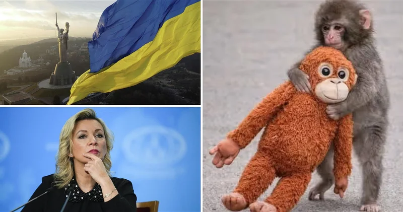Обезьянка Панч и вечная Украина: клинический случай Марии Захаровой