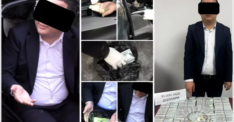 Мошенничество на 73 миллиарда: в Узбекистане арестован сотрудник банка