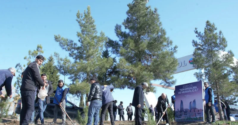 Tərtərdə 200 ədəd Eldar şamı əkilib