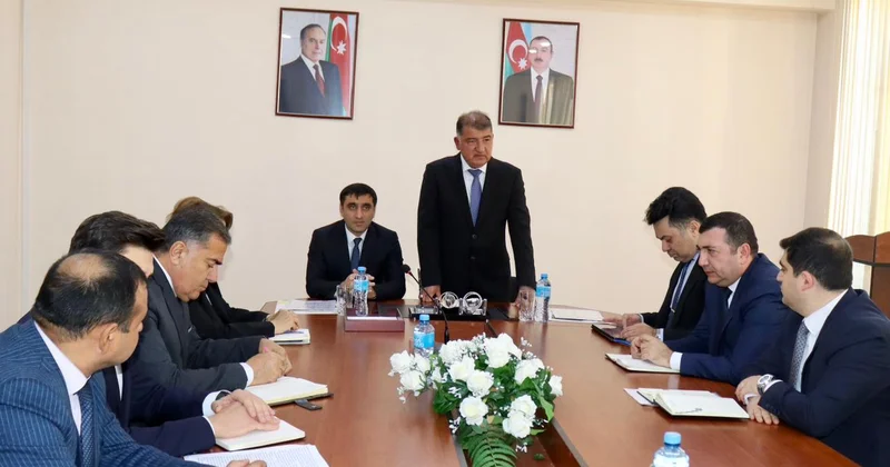Samuxda qəhvəyi mərmər bağacığına qarşı mübarizə aparılır FOTOLAR