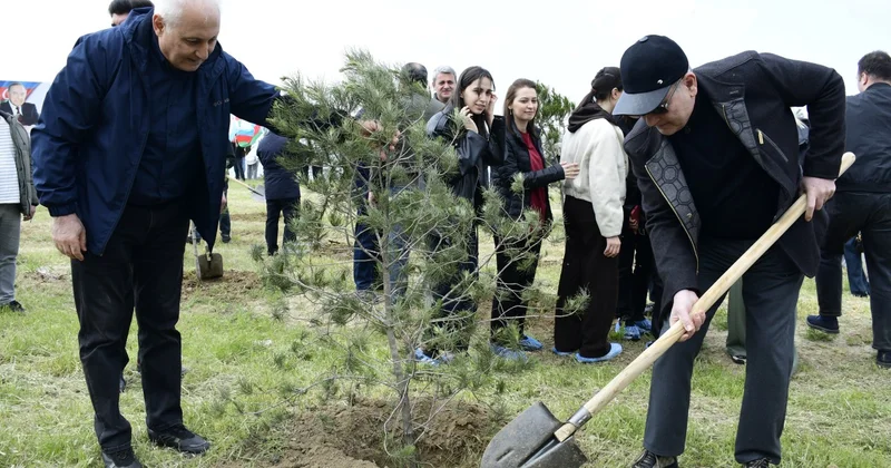 YAP Heydər Əliyevin 103 illiyi ilə əlaqədar ağacəkmə aksiyası keçirdi FOTOLAR
