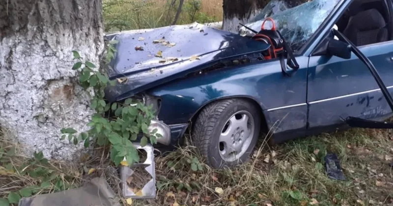 В Шеки автомобиль врезался в дерево, есть погибший и пострадавшие
