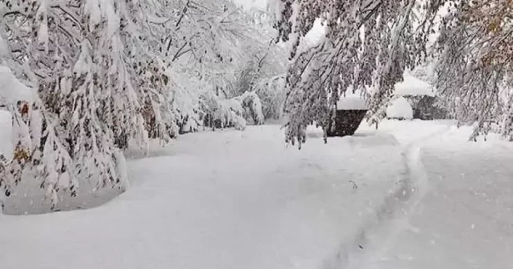 Hazırda bu rayonlara qar yağır FAKTİKİ HAVA
