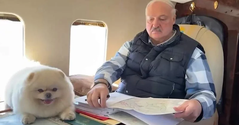 Лукашенко вместе со шпицем Умкой проинспектировал работу аграриев