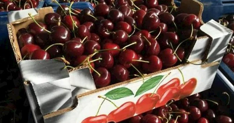 Albalıdan xəbərdar edir