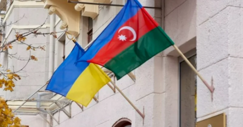 Это политика, а не игра в домино . В Совфеде высказались о поддержке Украины Азербайджаном
