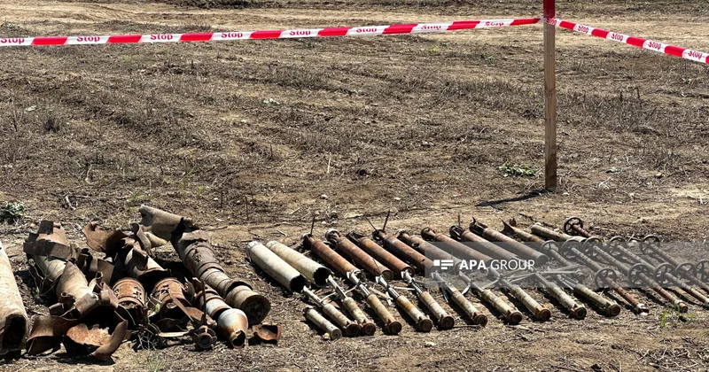 Обсуждено сотрудничество между Азербайджаном и Украиной в области разминирования