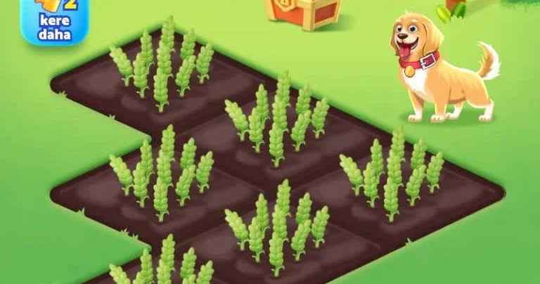 “Temu Farmland” saxtakarlığı Bunu edin ki, aldanmayın