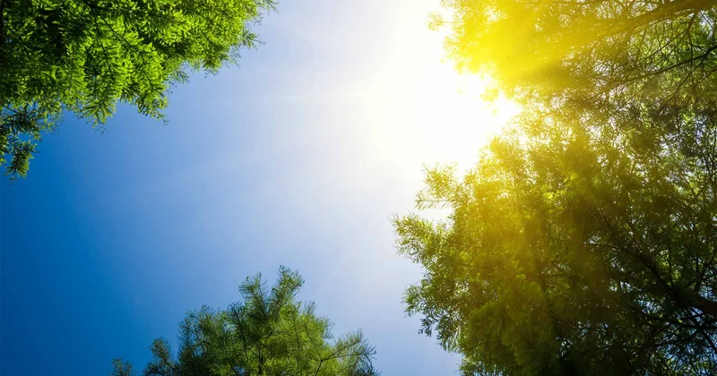 Hava proqnozu açıqlandı: temperatur 31 dərəcəyə qalxacaq