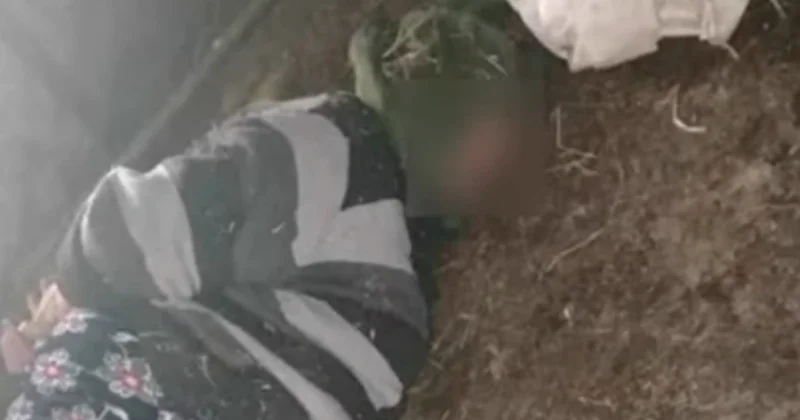 Veteran oğlu ölən anaya İŞGƏNCƏ VERİLDİ Hadisənin TƏFƏRRÜATI