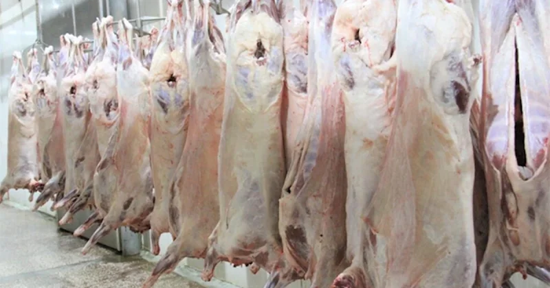 Məcnun Məmmədov: Ət istehsalımız istehlakı qarşılaya bilmir