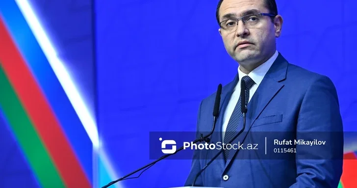 Меджнун Мамедов: За последние пять лет в Азербайджане сократилось поголовье скота