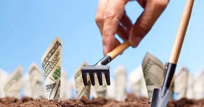 5 ildə kənd təsərrüfatı sektoruna yeni Dövlət Proqramı çərçivəsində 5,9 milyard manat investisiya qoyulması gözlənilir