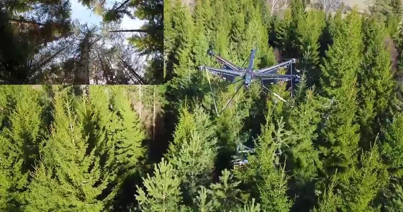 В Швеции показали дрон для перевозки деревьев ВИДЕО