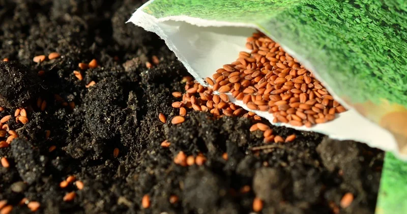 Yerli heyvan cinsləri və bitki növləri üzrə genetik material bankları yaradılacaq
