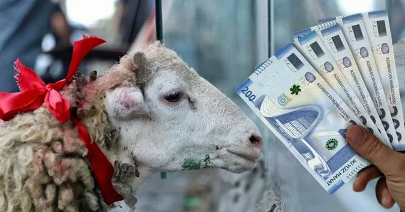 DİQQƏT: Qurban bayramına görə bu işçilərə əlavə pul veriləcək? KONKRET