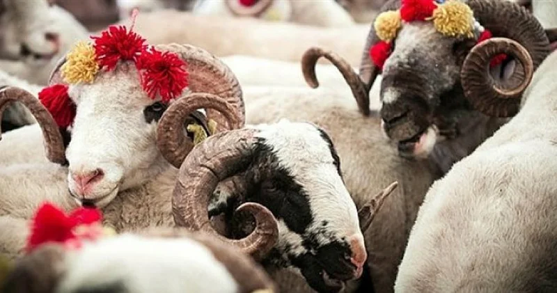 “Qurban bayramı cəmiyyət daxilində ünsiyyətin möhkəmlənməsinə xidmət edir” DİN XADİMİ DANIŞDI