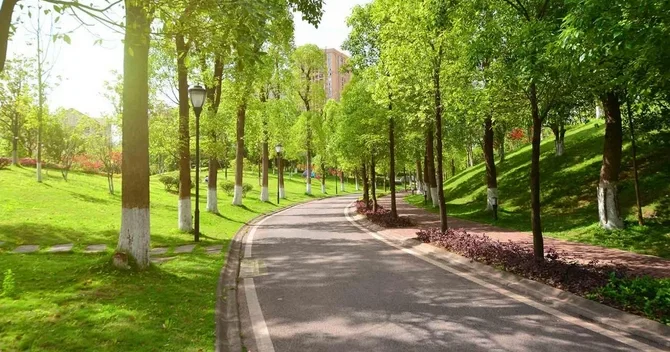 Gürcüstan Azərbaycanla sərhəd zonasında yeni milli park yaradır