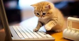 MacBook istifadəçilərinə şad xəbər: yeni müdafiə sistemi Cats Lock istifadəyə verildi