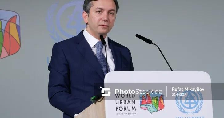 Ялчын Рафиев: Азербайджан получал и получает поддержку от ряда африканских государств