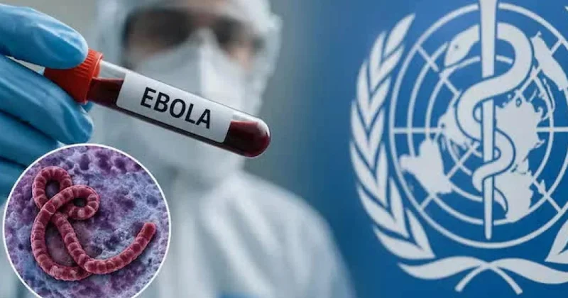 Africa CDC предупредили о высоком риске вспышки Эболы в 10 странах Африки