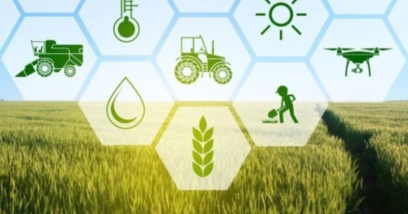 Azərbaycanda aqrar informasiya məsləhət sistemi yaradılacaq