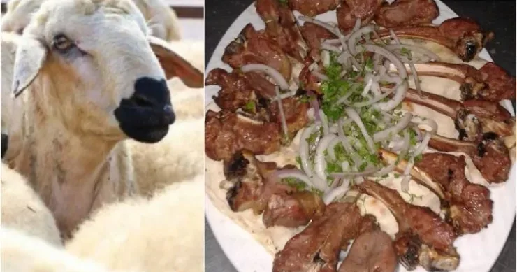 Qurban bayramında ən çox edilən səhvlər Sağlamlığınızı riskə atırsınız