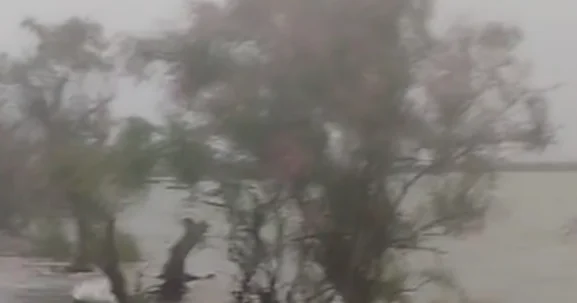 Дожди подняли уровень воды в Куре ВИДЕО