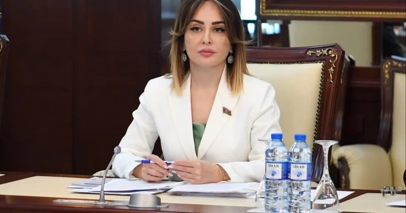 Daxili enerji infrastrukturuna investisiya yatırmaq xarici təhlükələrə qarşı dayanıqlığı artırır RƏY