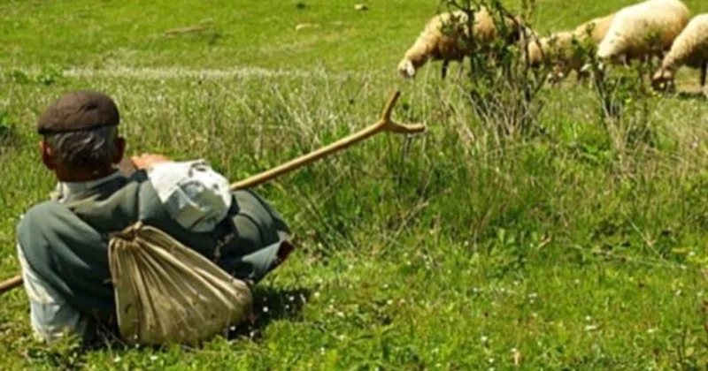 Gədəbəydə sahibkar spirtli içki içən çobanı ölümcül döydü