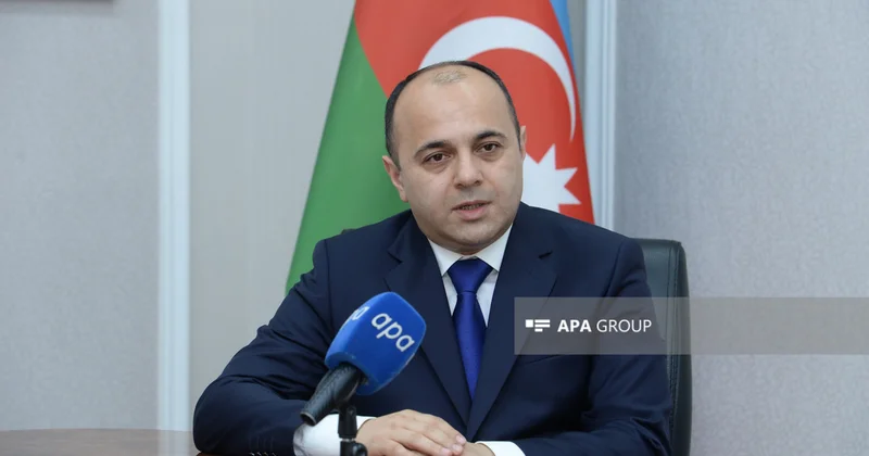 Nazir müavini: “Peşə təhsili alan məhkumlar azadlığa çıxdıqda əmək bazarında yer tuta biləcəklər” MÜSAHİBƏ