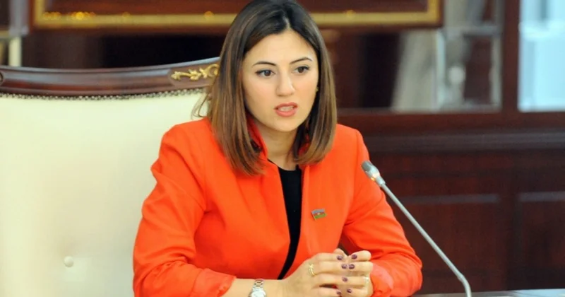 Azərbaycan Ordusu nəinki milli suverenliyin qarantıdır, həm də regionda sabitliyin təminatçısıdır ŞƏRH
