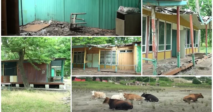 Змеи вместо туристов: как знаменитая турбаза Дружба в Набране превратилась в зону отчуждения