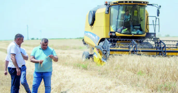Torpağa düşməsin havayı bir dən...