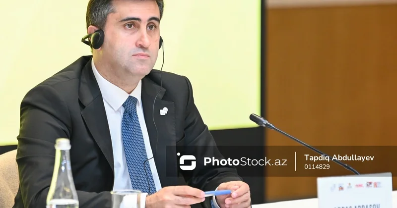 Abbas Abbasov: Assimilyasiya siyasətinə qarşı mübarizə zəruridir