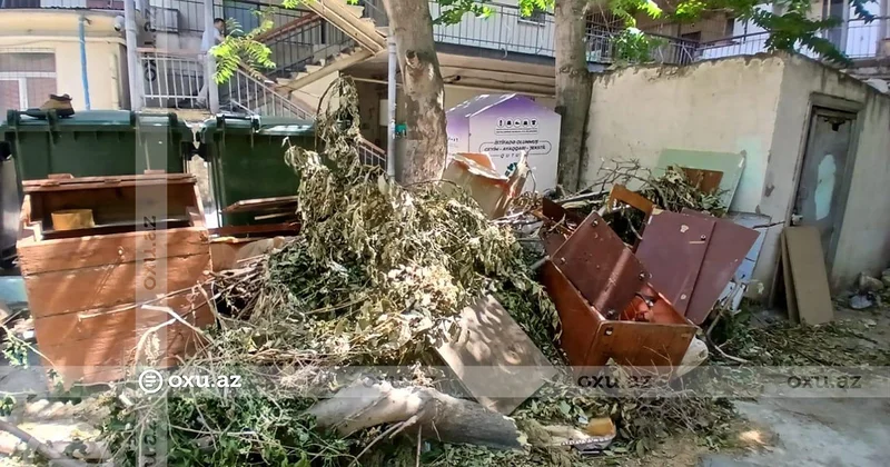 Nəsimi rayonunda ANTİSANİTAR VƏZİYYƏT: İki aydır yığışdıran yoxdur