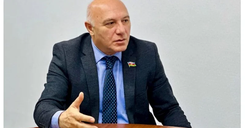 Deputat: Ac susuz heyvanlar insanlara hücum edir