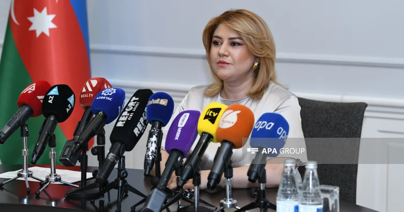 Azərbaycandan 500 gənc xaricdə təhsil alacaq