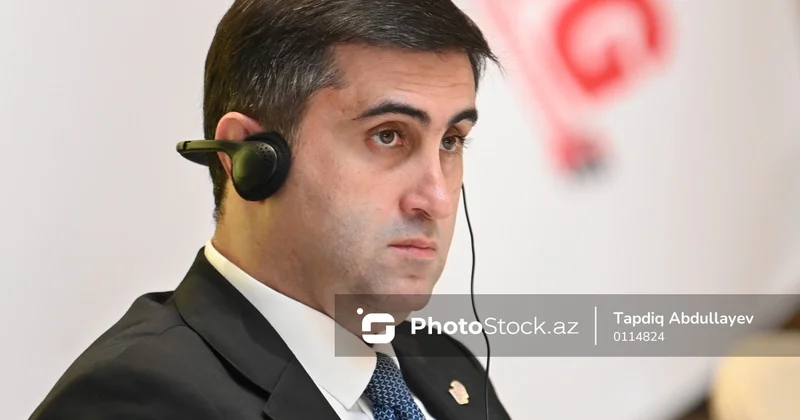 Abbas Abbasov: Dekolonizasiya ilə bağlı son 20 30 ildə ciddi irəliləyiş əldə olunmayıb