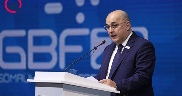 “Vahid pəncərə” yeniliyi DGK sədri planları açıqladı