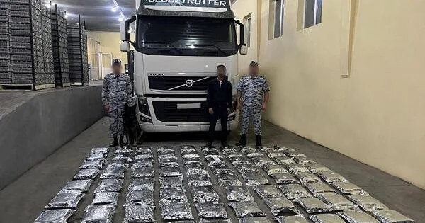 “Təzə gül kələmi” yükündən 90 kq narkotik çıxdı