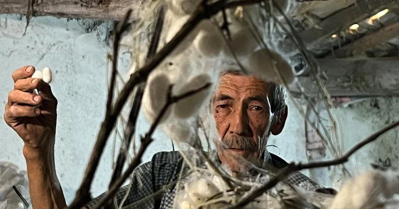 Zirzəmidə gizli sərvət: 71 yaşlı kişi cəmi 40 günə 216 min qazandı (Foto)